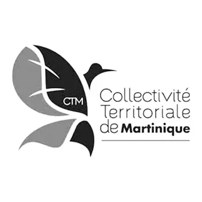 CTM